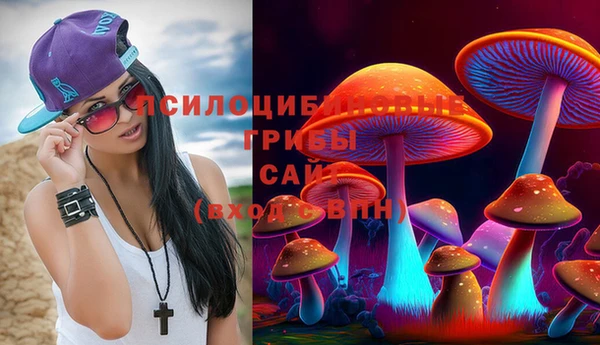 2c-b Алексеевка