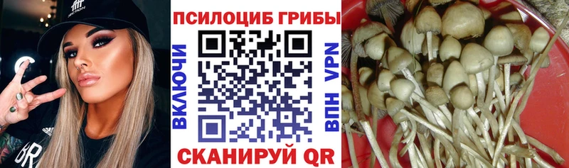 Псилоцибиновые грибы ЛСД  купить  сайты  Железногорск-Илимский 