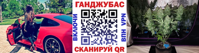 Шишки марихуана сатива  Железногорск-Илимский 